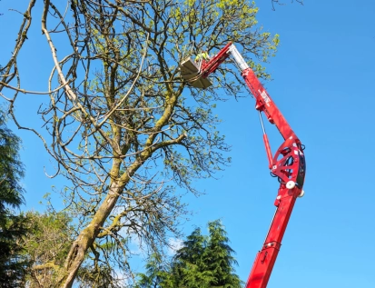 cherry picker hire bala