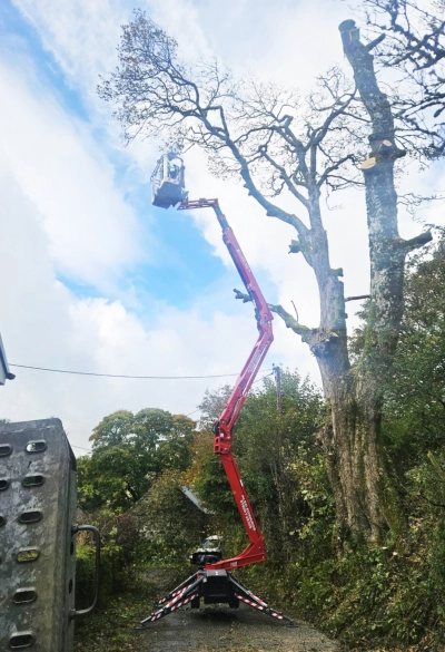 cherry picker hire bala