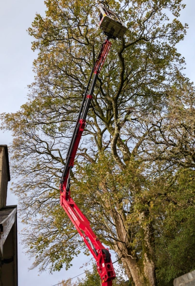 cherry picker hire bala